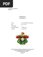 Download KARBOHIDRAT by Suci Qadrianty Sakinah SN67735780 doc pdf