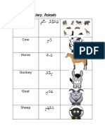 Dhivehi Animal Vocabulary