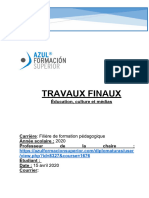 TRAVAIL FINAL Éducation, Culture Et Médias