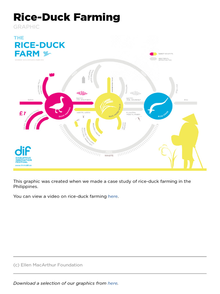 Rice-Duck-Farming | PDF