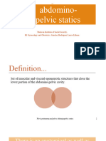 Pelvic Peritoneum and Abdominopelvic Statics