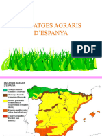 Paisatges Agraris D'espanya