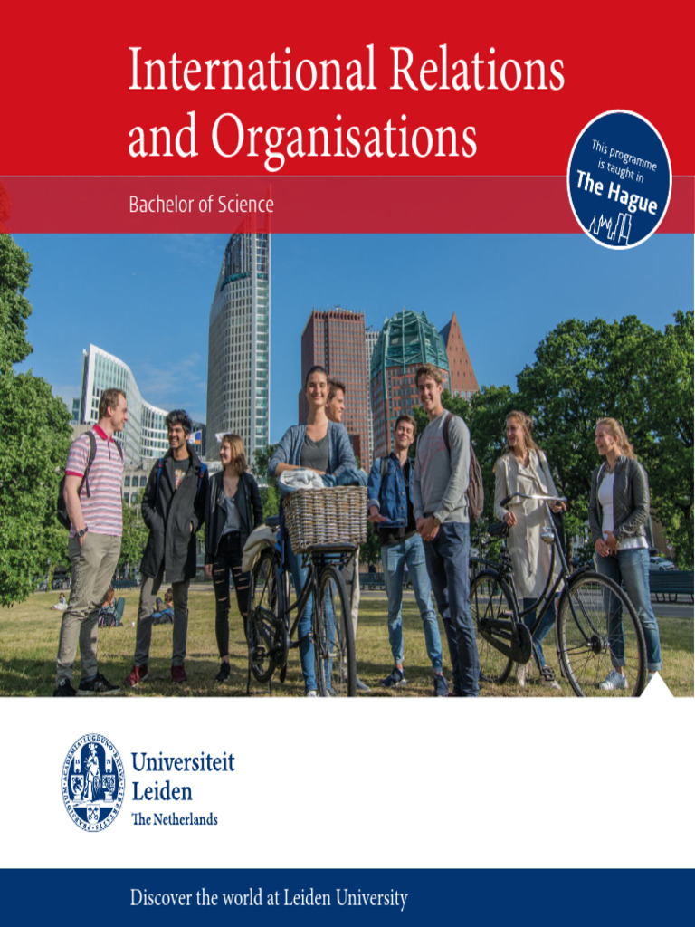 International Relations and Organisations | PDF | International ...