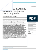 Transfer Rnas As Dynamic and Critical Regulators of Cancer Progression