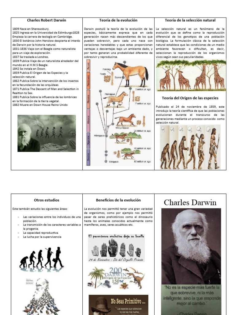 Charles Darwin y la Teoría de la Evolución | PDF | Evolución | Charles ...
