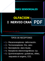 FUNCIONES SENSORIALES-par craneal     I-VII-F