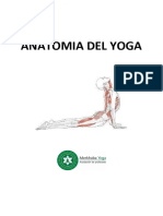 Anatomía Del Yoga Con Diafragmas