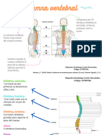 Osteologia Columna Cervical