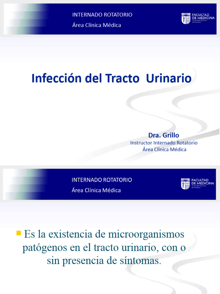 Infeccion Del Tracto Urinario Pdf Infección Del Tracto Urinario