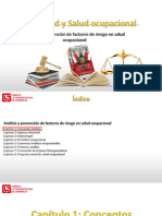 Modulo IV Prevención de Factores de Riesgo en SST