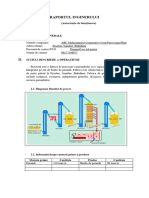 Exemplu de Raport Pto Engineering