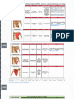 Resumen Músculos MMSS