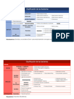 Clasificación de Las Bacterias