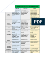 Tabel Comparativ de Asemănări Între Culturile Prehispanice