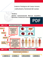 Músculos. Contracción Muscular