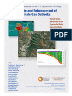 Svetlana 2019 Final Report On Update and Enhancement of Shale Gas Outlooks