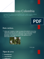 Dato Curioso Colombia