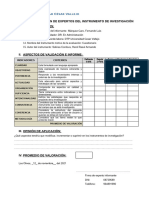 Ficha Validacion de Instrumentos DR. Márquez Caro Ydra Michca Maguiña