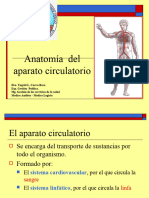 Anatomía Del Aparato Circulatorio
