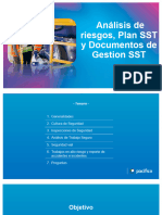 Analisis de Riesgos, Plan SST, Documentacion SST