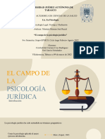 El Campo de La Psicología Jurídica