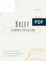 Romero Danira BRIEF