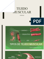 Tejido Muscular Usp 2022