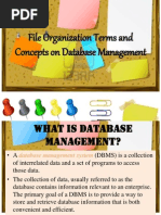 Database Management System