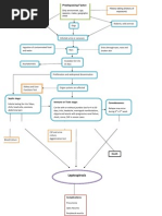 Pa Tho Physiology of Leptospirosis and Dengue Fever