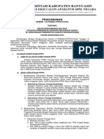 Revisi Pengumuman Seleksi PPPK Kab. Banyuasin 2023