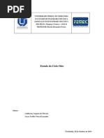 LAB 1 GEM 30- Ciclo Otto