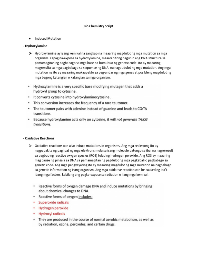 Bio Chemistry Script | PDF