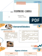 LEPTOSPIROSIS PPT Completo - 20230906 - 091741 - 0000