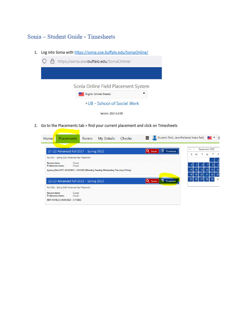 Sonia Timesheet Submission Guide | PDF | Career & Growth