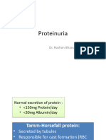 Approach To Proteinuria