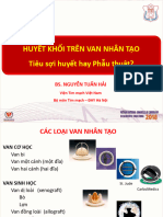 File Huyet Khoi Tren Van Nhan Dao NguyenTuanHai