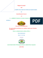 Rapport Final de Projet Sur La Planification Fiscale PDF