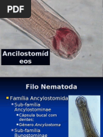 Ancilostomideos