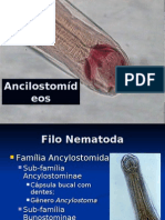 Ancilostomideos