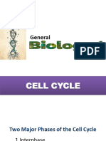 03 Cell Cycle