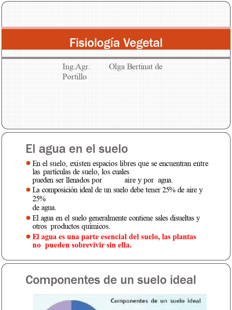 Agua en el Suelo y su Importancia en Plantas | PDF | Raíz | Agua