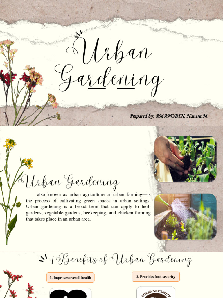 Urban Gardening | PDF