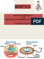 Aula 1 - Acidos Nucleicos - Dna Rna