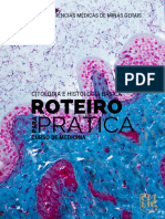 ROTEIRO PARA PRAtica - Cito