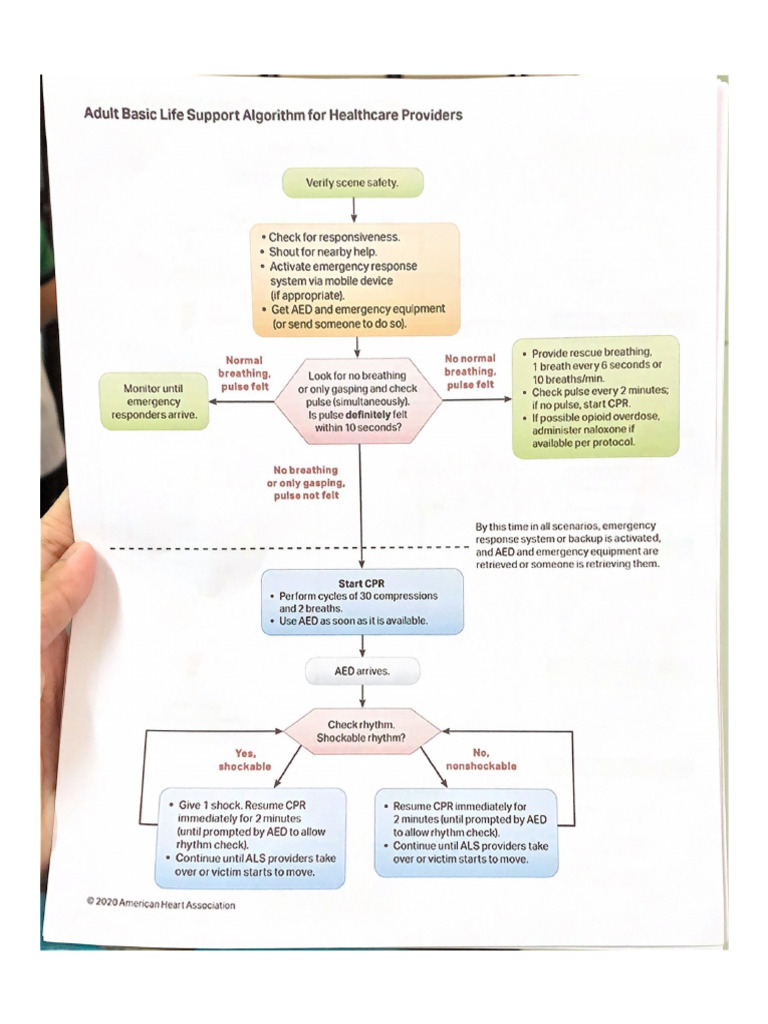 Adult Basic Life Support Algorithm For Healthcare Providers | PDF