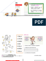 Músculos y Articualciones