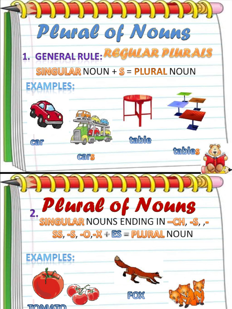 Plural Noun PDF