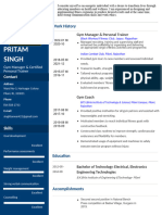 PRITAM SINGH CV Update New