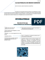 Patología Bucal Bacteriana de Origen Exógeno (Video 4, Parcial II)