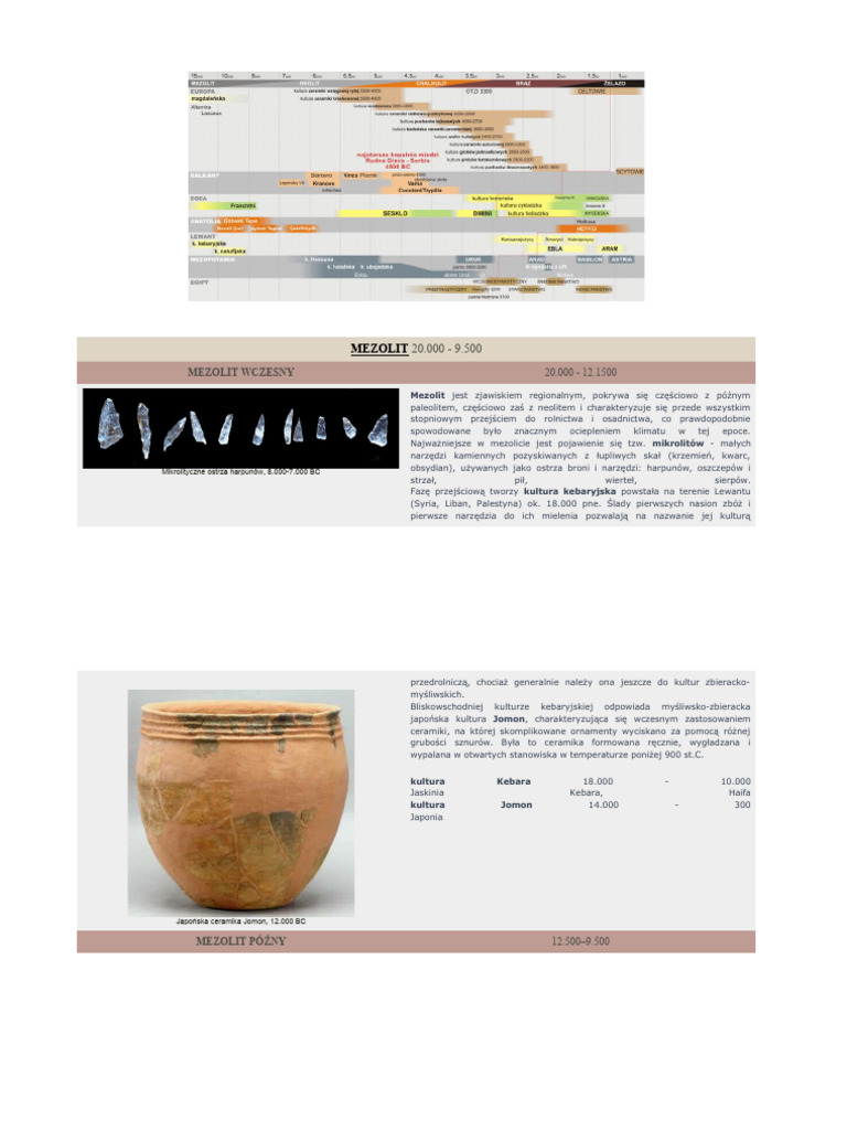 Mezolit | PDF